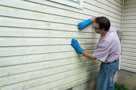 Best Insulated Siding Installation  in La Honda, CA